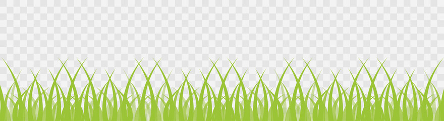 Green grass on transparent background. Organic shape border isolated. Meadow nature vector banner. Vector illustration.