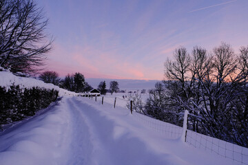 Wintermorgen 