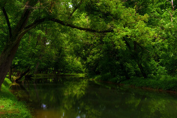 Along the banks of Big Creek in Tennessee