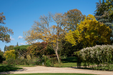 Parc  en automne