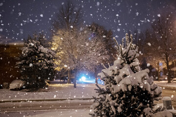 Snow trees yard residential area with parked cars covered by snowy house evening street at night