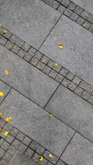 Grey stone floor with small yellow leaves . High quality photo