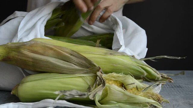 caucasian man get fresh ripe ear corn out of white eco fabric cotton tote bag, put on kitchen stone table top, lifestyle close-up horizontal stock video footage in real time
