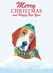 Merry Christmas. Dog with christmas hat.