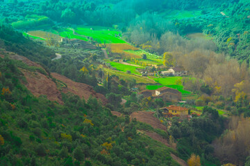 naturaleza