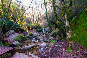 naturaleza