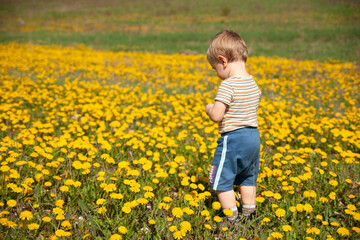 child in the field of lowers