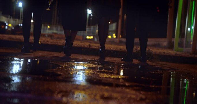 Group of friends walking at night on illuminated wet road