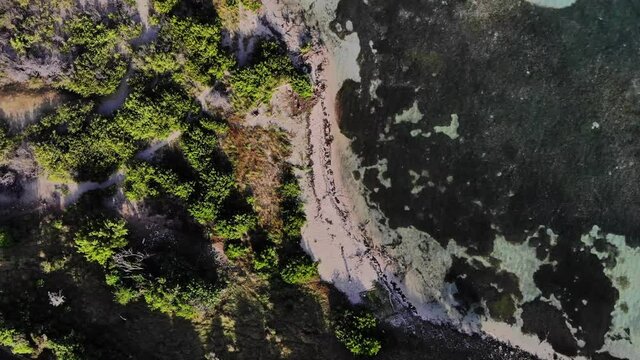 Aerial footage descending on a white sandy beach on the Caribbean sea. 