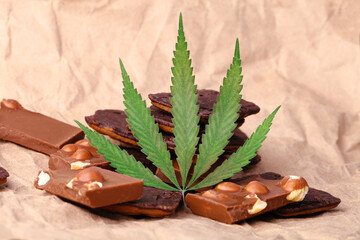Pieces of chocolate with cannabis CBD nuts with dry green hemp leaf. Hemp biscuits covered with chocolate glaze. Marijuana sweet food concept