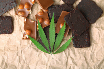 Organic Marijuana Pieces of Chocolate with CBD cannabis nuts and dry green hemp leaves. Chocolate coated hemp biscuits. Marijuana sweet food concept