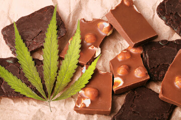 Organic Marijuana Pieces of Chocolate with CBD cannabis nuts and dry green hemp leaves. Chocolate coated hemp biscuits. Marijuana sweet food concept