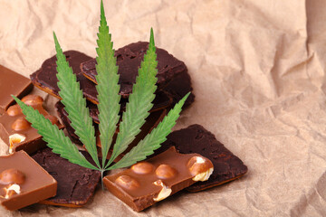 Organic Marijuana Pieces of Chocolate with CBD cannabis nuts and dry green hemp leaves. Chocolate coated hemp biscuits. Marijuana sweet food concept