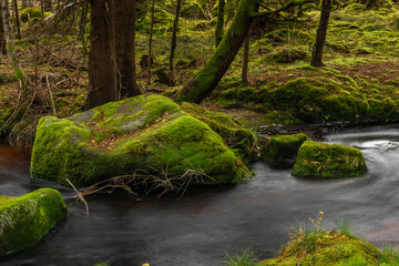 Jezerni creek in autumn color morning with red water and green beautiful stones