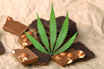 Pieces of delicious chocolate and cookies on the background of wrapping paper with a green hemp leaf. Cannabis Leaf Vegan Chocolate with CBD Supplement and Green Marijuana Leaves
