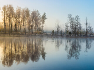 Obraz premium Reflection in the water.