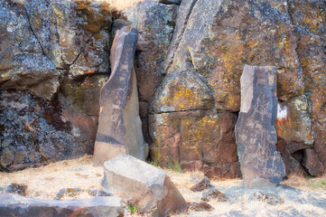 Ancient Petroglyphs on the Temani Pesh-wa Trail