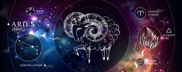 Modern magic witchcraft card with astrology Aries zodiac sign. Realistic hand drawing ram or mouflon. Zodiac characteristic - obrazy, fototapety, plakaty