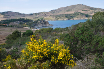 Photo de mes voyages