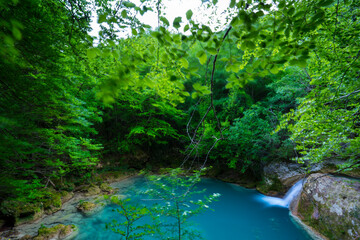 Nacedero del Urederra, Urbasa Andia Natural Park, Navarra, Spain, Europe