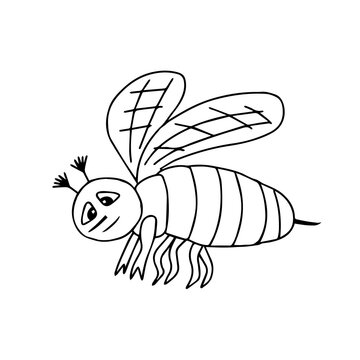 Hand-drawn black vector illustration of one bee is flying on a white background