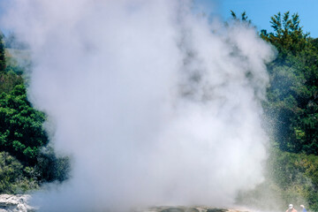 Fototapeta na wymiar Pohutu Geyser erupting