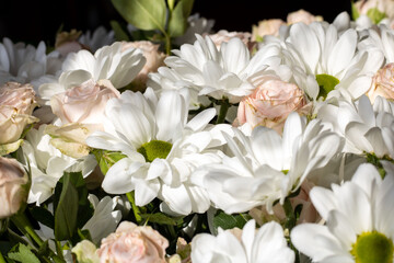 Fototapeta premium Bouquet of flowers. Flower. Roses and daisies. Petals. Close-up