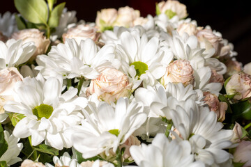 Obraz na płótnie Canvas Bouquet of flowers. Flower. Roses and daisies. Petals. Close-up