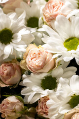 Bouquet of flowers. Flower. Roses and daisies. Petals. Close-up
