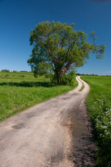 road in the field