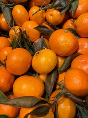 Freshly Picked Mandarin Oranges