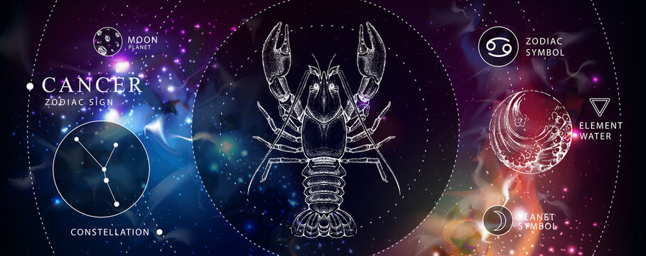 Modern magic witchcraft card with astrology Cancer zodiac sign. Realistic hand drawing crab illustration. Zodiac characteristic