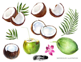 Coconut big set watercolor illustration isolated on white background - obrazy, fototapety, plakaty