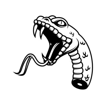 Illustration of Severed head of a snake isolated on white. Design element for logo, label, sign, emblem, poster, t shirt. Vector illustration