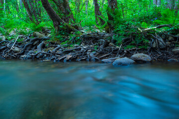 Bayas river, Gorbeia Natural Park, Alava, Basque Country, Spain, Europe