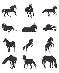 12 Silhouette of Horses With Different Perspective And Pose