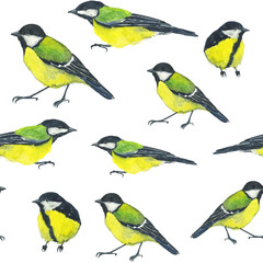 Seamless pattern Great Tit or Titmouse bird on white background. Watercolor hand drawing illustration. Perfect for digital paper, wrapping, backdrop, wallpaper.