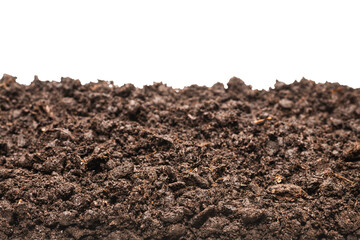 Black land for plant.
