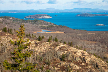 Fototapeta na wymiar Scenic view of Acadia National forest and seashore