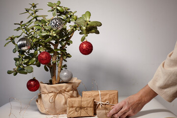 Christmas tree made from houseplant. Handmade gift boxes craft paper decorated.Happy New Year. Gift boxes packed in paper, decorated with lace and twine. Eco Christmas decor.