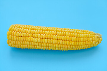 Sweetcorn Against Blue Background. Flat lay composition with tasty sweet corn cobs on color background. Cobs of ripe raw corn on blue background. Top view.