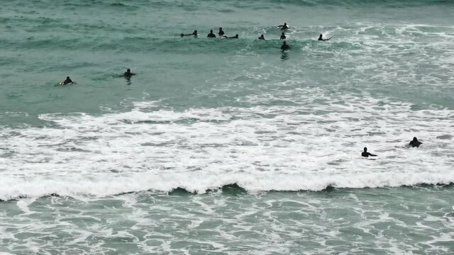 Surfers in the sea in search of the wave