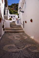 Cobbled street