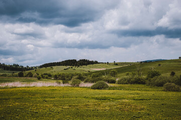 landscape with field and sky