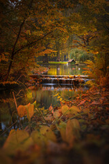 Jesień - Park Żywiec © fotograbska