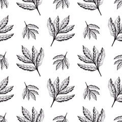 Seamless pattern made from natural leaves. Black and white picture for wrapping paper. Hand drawn by pen and liner on white background.
