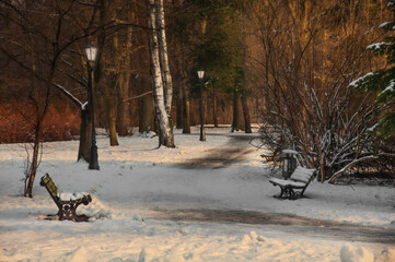 Park - ławki © fotograbska