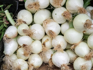 Mercado de frutas y hortalizas
