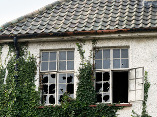 Ivy covered building with broken windows
