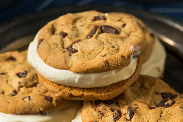 Homemade Ice Cream Sandwiches
